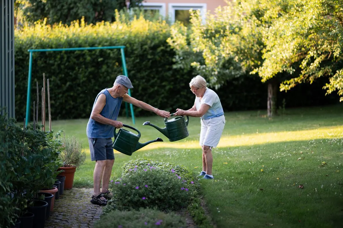 Person som klipper en häck i en trädgård